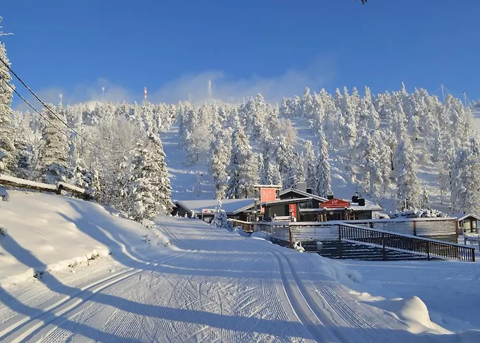 Lakeside Riekonkieppi 库萨莫