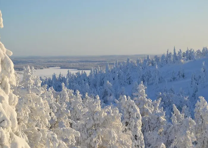 别墅 Lakeside Riekonkieppi *