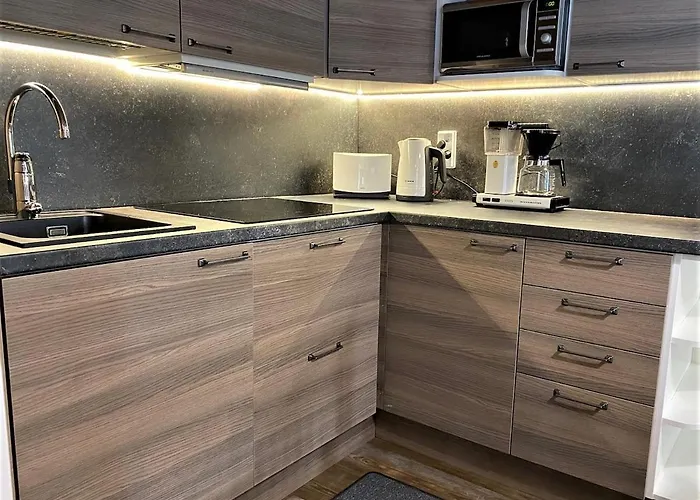 别墅 Lakeside Riekonkieppi