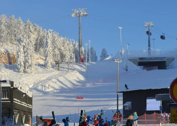 Lakeside Riekonkieppi * 库萨莫